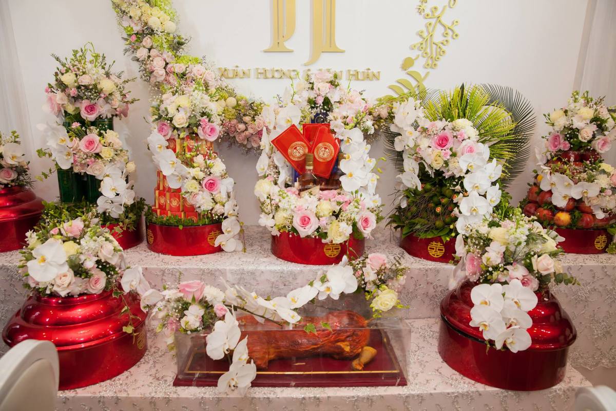 Phân tích và bình luận