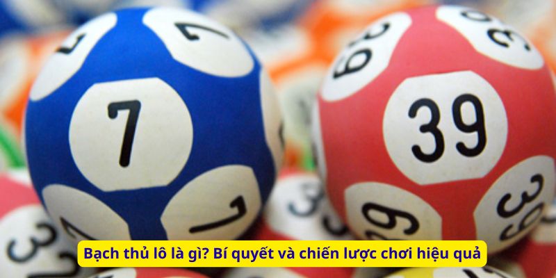 Bạch thủ lô là gì? Bí quyết và chiến lược chơi hiệu quả