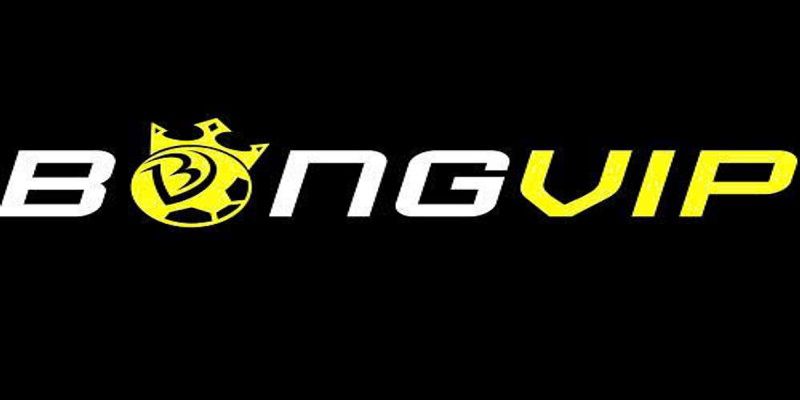 Bongvip Lừa Đảo Thật Không Hay Tin Đồn Không Có Cơ Sở?