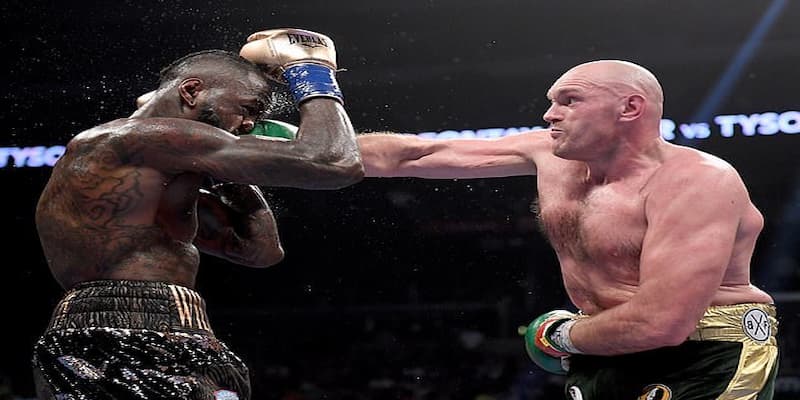 Bongvip - Cổng giải trí quyền anh chất lượng hàng đầu